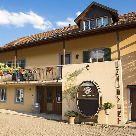 Cave Du Treyblanc Bed & Breakfast Luins Екстериор снимка